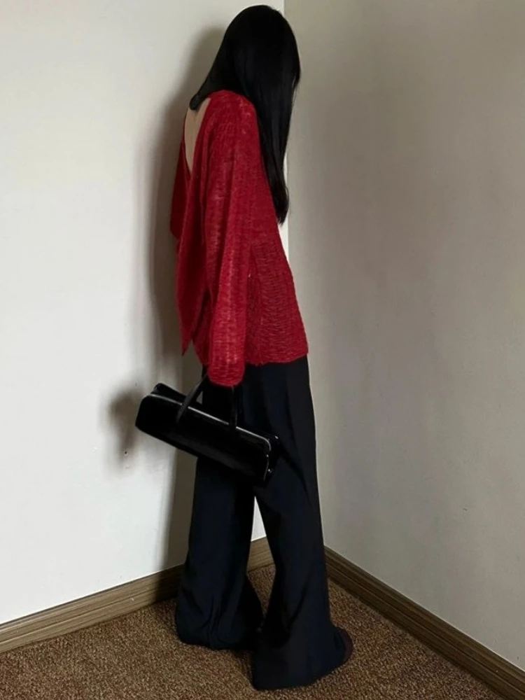 Camiseta de punto transparente - Embroidery reseña y precio